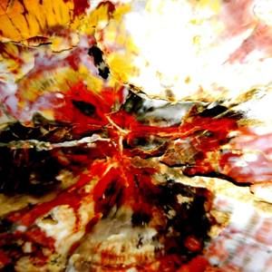 Meet your Posher, Beverly